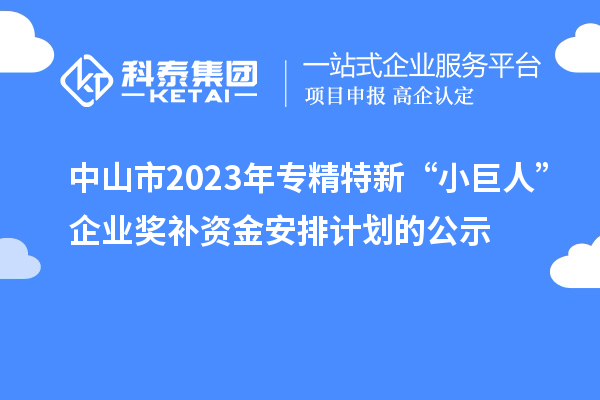 中山市2023年專精特新“小巨人”企業(yè)獎補(bǔ)資金安排計劃的公示