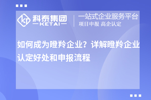 如何成為瞪羚企業(yè)？詳解<a href=http://www.hsloq2267.cn/fuwu/dengling.html target=_blank class=infotextkey>瞪羚企業(yè)認(rèn)定</a>好處和申報流程