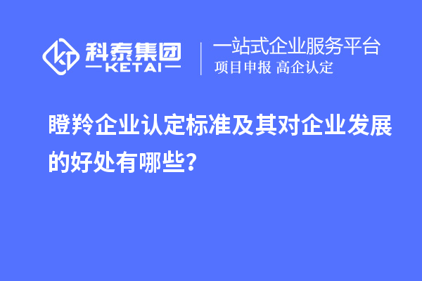 <a href=http://www.hsloq2267.cn/fuwu/dengling.html target=_blank class=infotextkey>瞪羚企業(yè)認(rèn)定</a>標(biāo)準(zhǔn)及其對(duì)企業(yè)發(fā)展的好處有哪些？