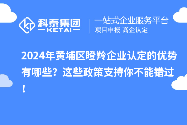 2024年黃埔區(qū)瞪羚企業(yè)認(rèn)定的優(yōu)勢有哪些？這些政策支持你不能錯(cuò)過！