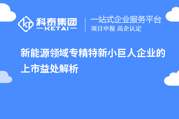 新能源領域專精特新小巨人企業(yè)的上市益處解析