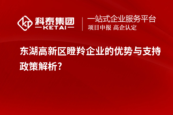 東湖高新區(qū)瞪羚企業(yè)的優(yōu)勢(shì)與支持政策解析?