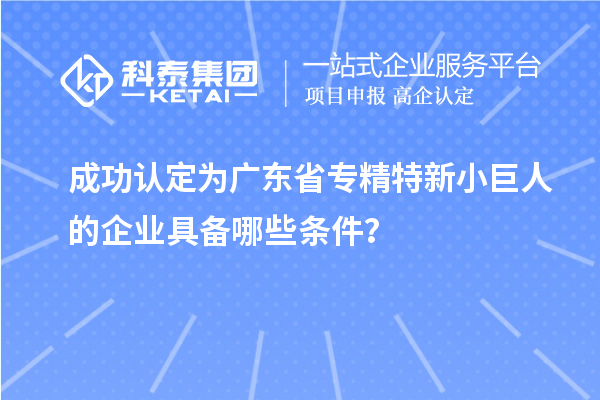 成功認(rèn)定為廣東省專精特新小巨人的企業(yè)具備哪些條件？