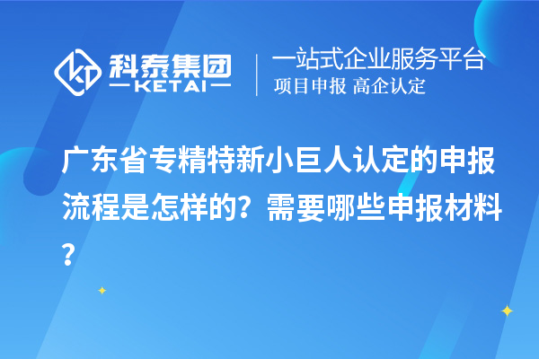 廣東省專精特新小巨人認定的申報流程是怎樣的？需要哪些申報材料？