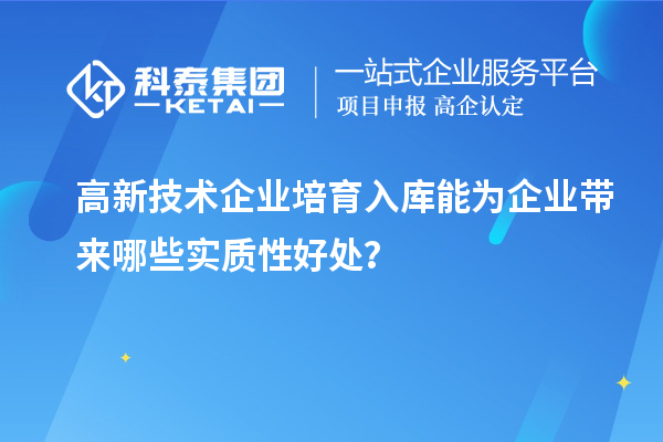 高新技術(shù)企業(yè)培育入庫能為企業(yè)帶來哪些實質(zhì)性好處？