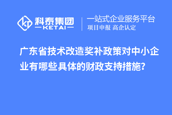 廣東省技術(shù)改造獎(jiǎng)補(bǔ)政策對(duì)中小企業(yè)有哪些具體的財(cái)政支持措施？