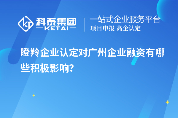 <a href=http://www.hsloq2267.cn/fuwu/dengling.html target=_blank class=infotextkey>瞪羚企業(yè)認(rèn)定</a>對(duì)廣州企業(yè)融資有哪些積極影響？
