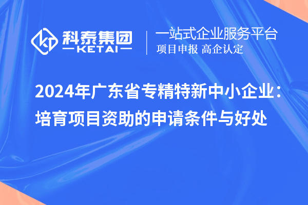 2024年廣東省<a href=http://www.hsloq2267.cn/fuwu/zhuanjingtexin.html target=_blank class=infotextkey>專精特新中小企業(yè)</a>：培育項目資助的申請條件與好處