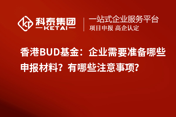 香港BUD基金：企業(yè)需要準(zhǔn)備哪些申報材料？有哪些注意事項？