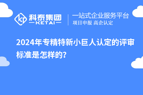 2024年專精特新小巨人認定的評審標準是怎樣的？
