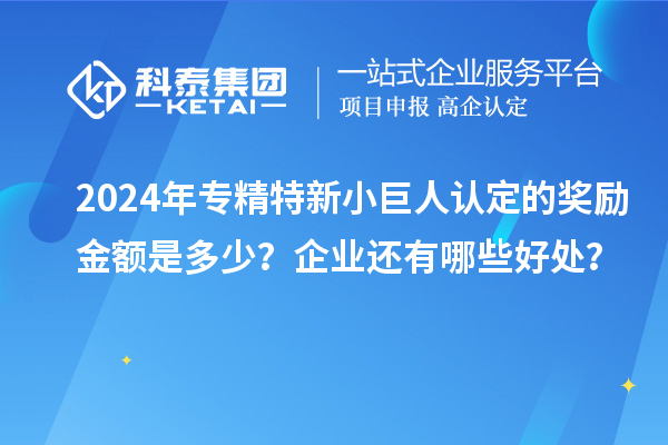 2024年專精特新小巨人認(rèn)定的獎(jiǎng)勵(lì)金額是多少？企業(yè)還有哪些好處？