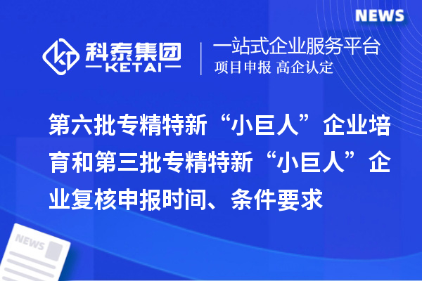 第六批專(zhuān)精特新“小巨人”企業(yè)培育和第三批專(zhuān)精特新“小巨人”企業(yè)復(fù)核申報(bào)時(shí)間、條件要求、補(bǔ)助獎(jiǎng)勵(lì)