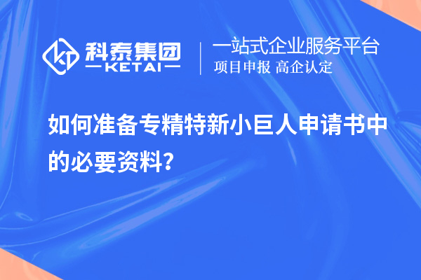 如何準備專精特新小巨人申請書中的必要資料？