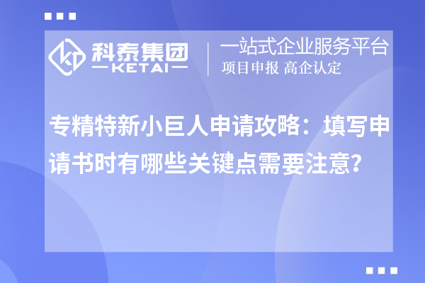 專精特新小巨人申請(qǐng)攻略：填寫申請(qǐng)書時(shí)有哪些關(guān)鍵點(diǎn)需要注意？