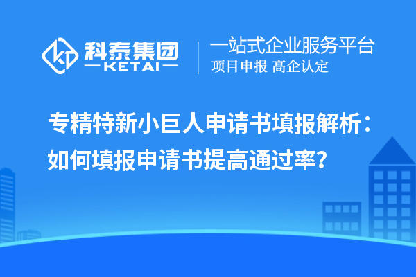 專精特新小巨人申請書填報解析：如何填報申請書提高通過率？