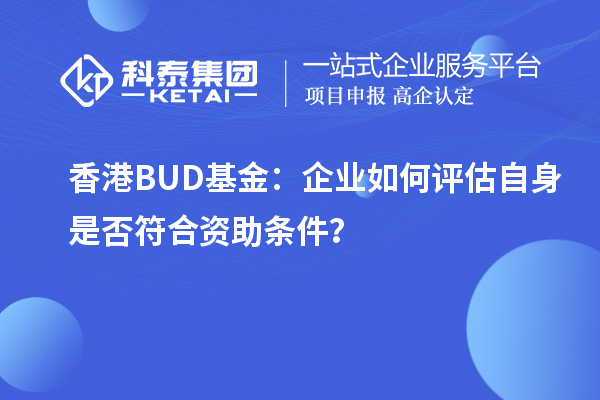 香港BUD基金：企業(yè)如何評(píng)估自身是否符合資助條件？