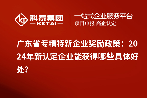 廣東省專精特新企業(yè)獎勵政策：2024年新認(rèn)定企業(yè)能獲得哪些具體好處？