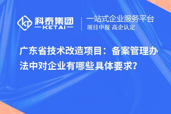 廣東省技術(shù)改造項(xiàng)目：備案管理辦法中對(duì)企業(yè)有哪些具體要求？