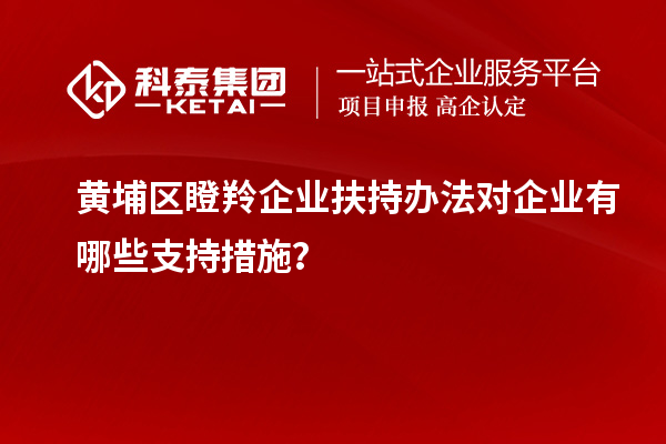 黃埔區(qū)瞪羚企業(yè)扶持辦法對企業(yè)有哪些支持措施？