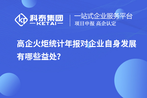 高企火炬統(tǒng)計年報對企業(yè)自身發(fā)展有哪些益處？