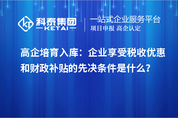 高企培育入庫：企業(yè)享受稅收優(yōu)惠和財政補貼的先決條件是什么？