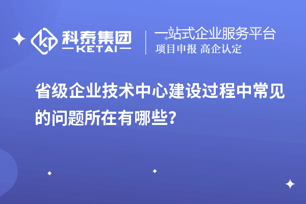 省級(jí)企業(yè)技術(shù)中心建設(shè)過程中常見的問題所在有哪些？