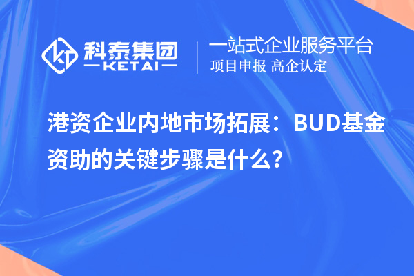 港資企業(yè)內(nèi)地市場(chǎng)拓展：BUD基金資助的關(guān)鍵步驟是什么？