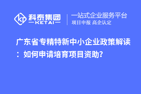 廣東省專精特新中小企業(yè)政策解讀：如何申請培育項目資助？