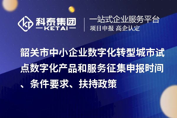 韶關(guān)市中小企業(yè)數(shù)字化轉(zhuǎn)型城市試點數(shù)字化產(chǎn)品和服務(wù)征集申報時間、條件要求、扶持政策