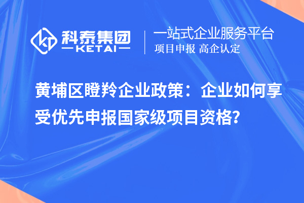 黃埔區(qū)瞪羚企業(yè)政策：企業(yè)如何享受優(yōu)先申報國家級項目資格？