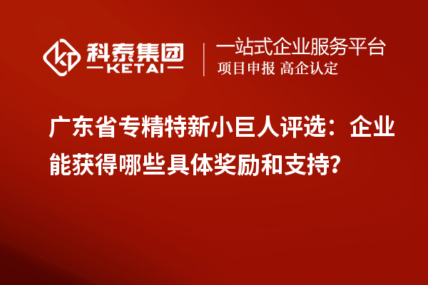 廣東省專(zhuān)精特新小巨人評(píng)選：企業(yè)能獲得哪些具體獎(jiǎng)勵(lì)和支持？
