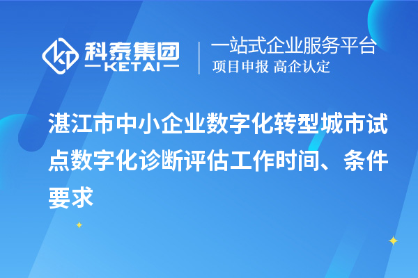 湛江市中小企業(yè)數(shù)字化轉(zhuǎn)型城市試點(diǎn)數(shù)字化診斷評估工作時間、條件要求