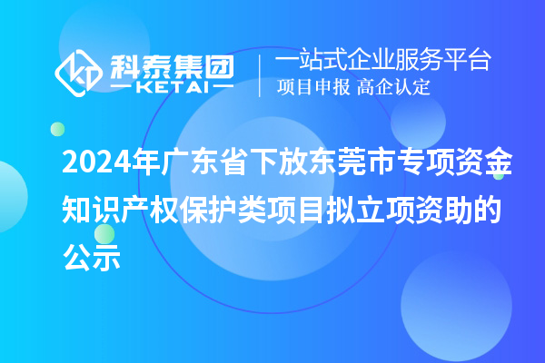 2024年廣東省下放東莞市專(zhuān)項(xiàng)資金知識(shí)產(chǎn)權(quán)保護(hù)類(lèi)項(xiàng)目擬立項(xiàng)資助的公示