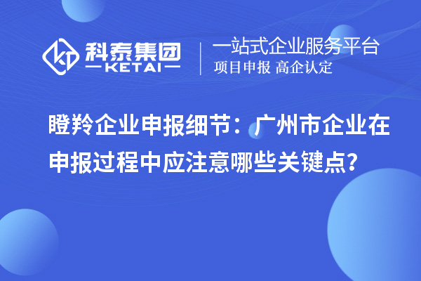 瞪羚企業(yè)申報(bào)細(xì)節(jié)：廣州市企業(yè)在申報(bào)過程中應(yīng)注意哪些關(guān)鍵點(diǎn)？