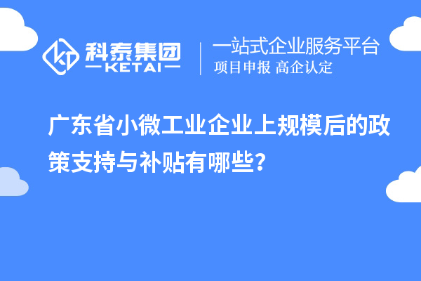 廣東省小微工業(yè)企業(yè)上規(guī)模后的政策支持與補貼有哪些？