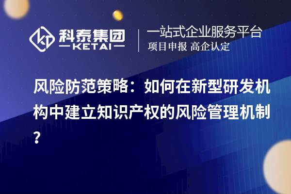 風(fēng)險(xiǎn)防范策略：如何在新型研發(fā)機(jī)構(gòu)中建立知識(shí)產(chǎn)權(quán)的風(fēng)險(xiǎn)管理機(jī)制？