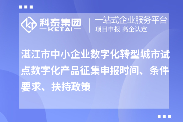 湛江市中小企業(yè)數(shù)字化轉(zhuǎn)型城市試點數(shù)字化產(chǎn)品征集申報時間、條件要求、扶持政策