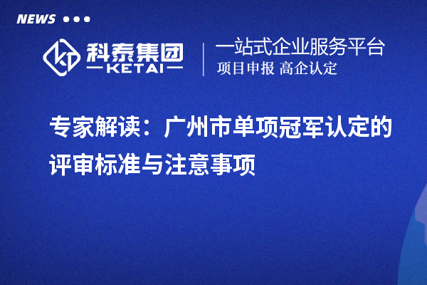專(zhuān)家解讀：廣州市單項(xiàng)冠軍認(rèn)定的評(píng)審標(biāo)準(zhǔn)與注意事項(xiàng)