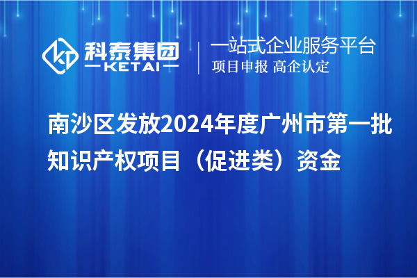 南沙區(qū)發(fā)放2024年度廣州市第一批知識產(chǎn)權項目（促進類）資金