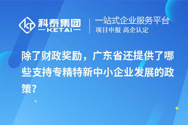 除了財政獎勵，廣東省還提供了哪些支持專精特新中小企業(yè)發(fā)展的政策？