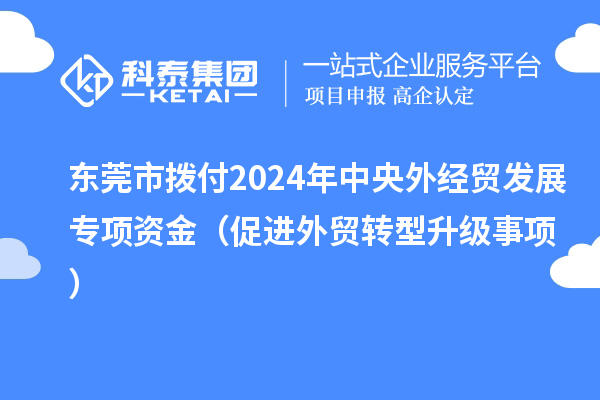 東莞市撥付2024年中央外經貿發(fā)展專項資金（促進外貿轉型升級事項）