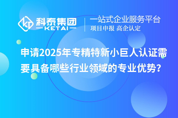 申請(qǐng)2025年專精特新小巨人認(rèn)證需要具備哪些行業(yè)領(lǐng)域的專業(yè)優(yōu)勢(shì)？