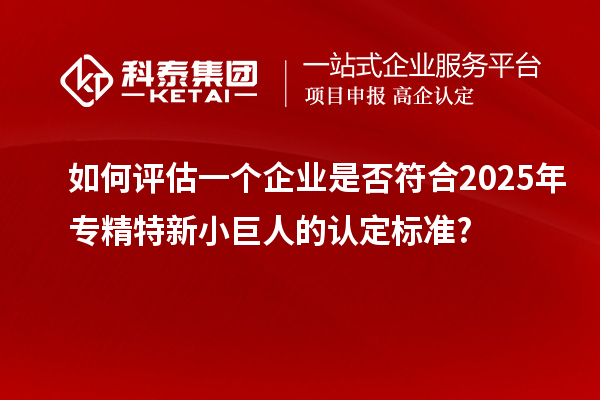 如何評(píng)估一個(gè)企業(yè)是否符合2025年專(zhuān)精特新小巨人的認(rèn)定標(biāo)準(zhǔn)?
