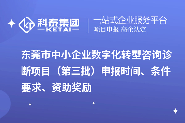東莞市中小企業(yè)數(shù)字化轉型咨詢診斷項目（第三批）申報時間、條件要求、資助獎勵