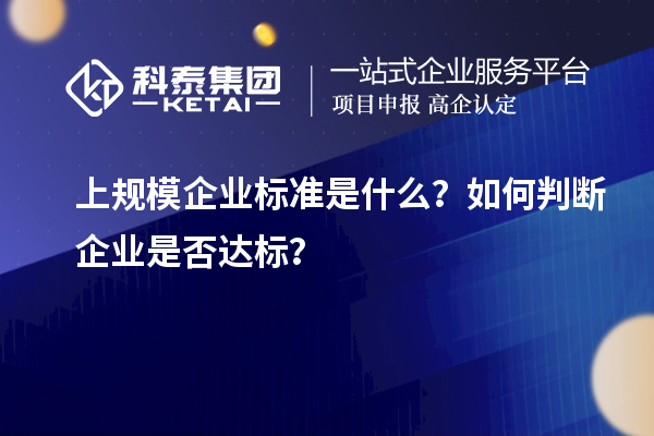 上規(guī)模企業(yè)標(biāo)準(zhǔn)是什么？如何判斷企業(yè)是否達(dá)標(biāo)？