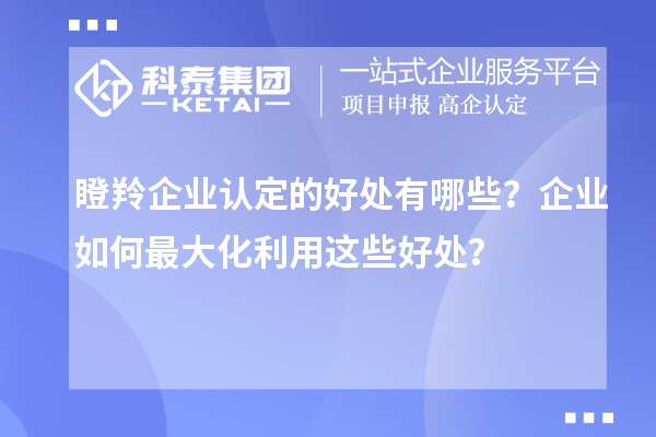 <a href=http://www.hsloq2267.cn/fuwu/dengling.html target=_blank class=infotextkey>瞪羚企業(yè)認(rèn)定</a>的好處有哪些？企業(yè)如何最大化利用這些好處？