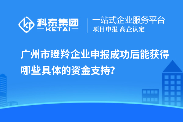 廣州市瞪羚企業(yè)申報(bào)成功后能獲得哪些具體的資金支持？
