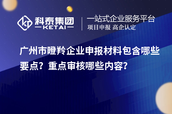 廣州市瞪羚企業(yè)申報材料包含哪些要點？重點審核哪些內(nèi)容？