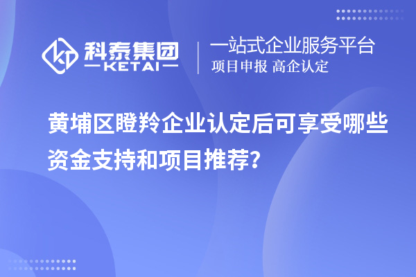 黃埔區(qū)<a href=http://www.hsloq2267.cn/fuwu/dengling.html target=_blank class=infotextkey>瞪羚企業(yè)認定</a>后可享受哪些資金支持和項目推薦？