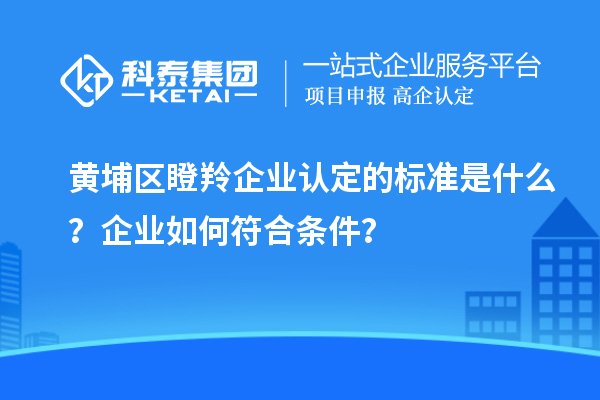 黃埔區(qū)<a href=http://www.hsloq2267.cn/fuwu/dengling.html target=_blank class=infotextkey>瞪羚企業(yè)認(rèn)定</a>的標(biāo)準(zhǔn)是什么？企業(yè)如何符合條件？